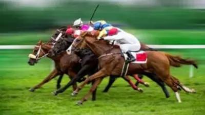 أفضل 3 أفلام حول سباق الخيل